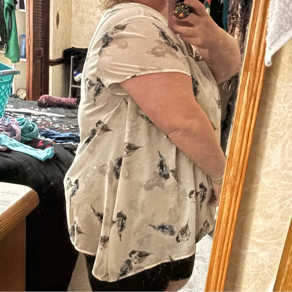 Torrid 3X Women's Bird Print Blouse Top Plus Size - Picture 6 of 7